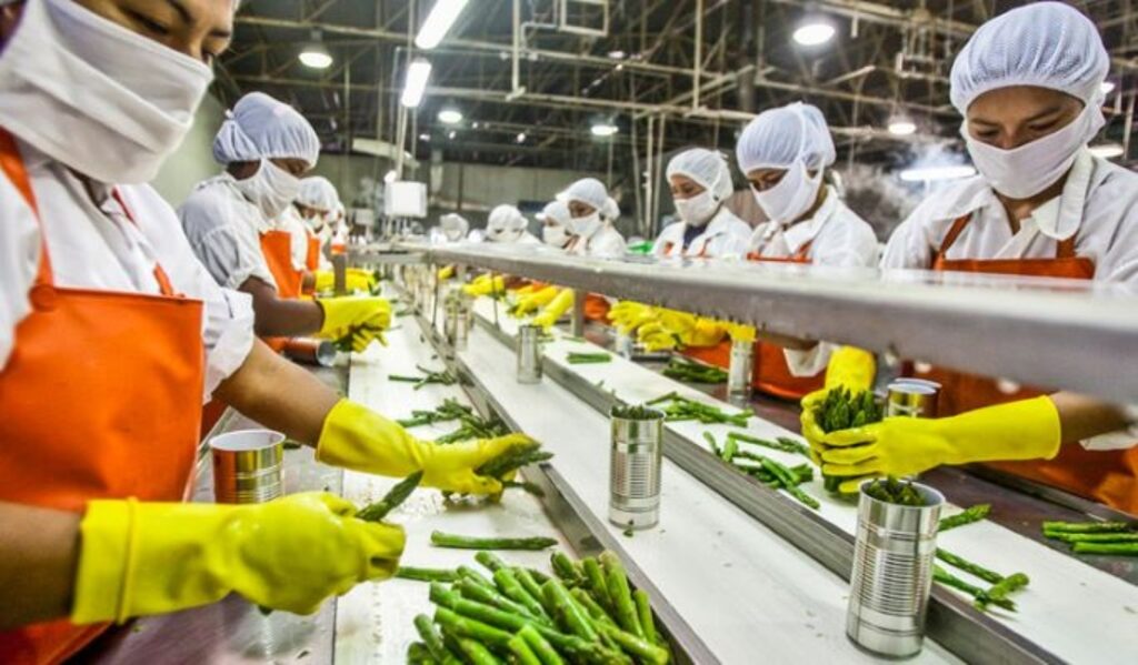 Equipamiento para industria avícola y alimenticia