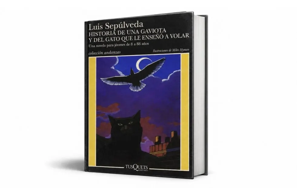 Elsa Osorio recomienda un libro infantil sobre diversidad y afecto. Imagen destacada sobre libro infantil sobre diversidad. publicada en Noticias Web