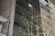 Mendoza: murió una mujer tras caer de un quinto piso y detuvieron a su pareja. Imagen destacada sobre Mendoza. publicada en Noticias Web
