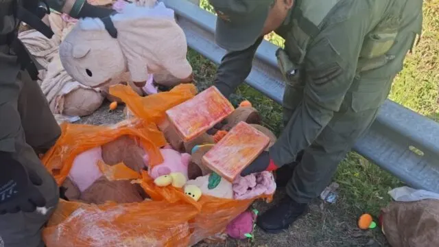 Carpinchos de peluche con droga: secuestran marihuana y cocaína en Catamarca. Imagen destacada sobre carpinchos de peluche con droga. publicada en Noticias Web