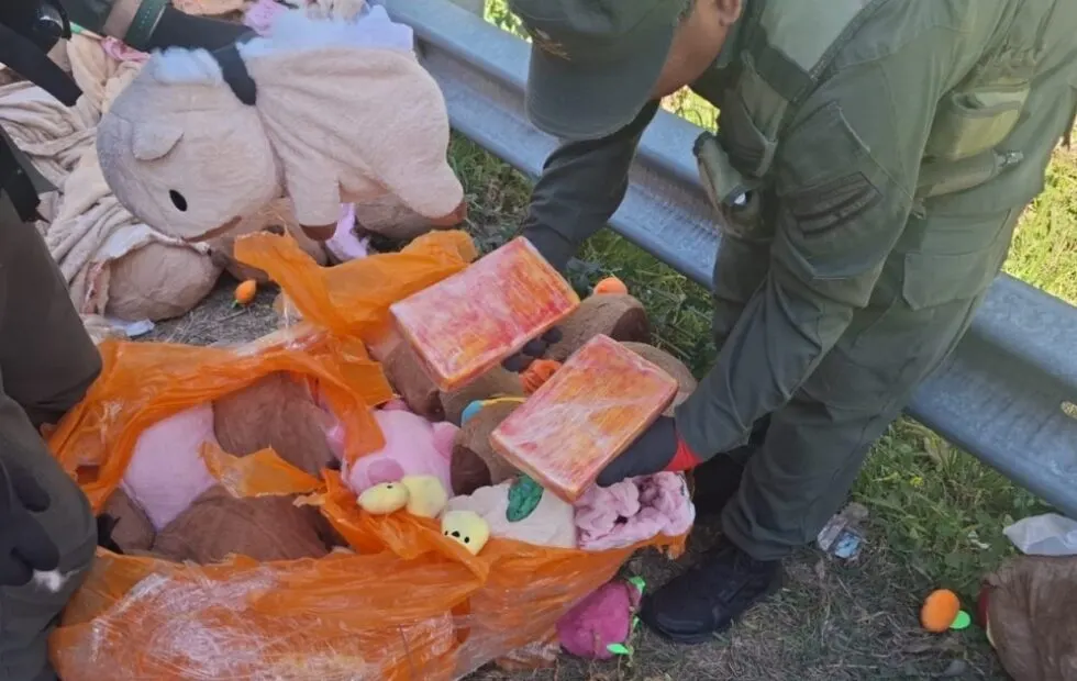 Carpinchos de peluche con droga: secuestran marihuana y cocaína en Catamarca. Imagen destacada sobre carpinchos de peluche con droga. publicada en Noticias Web