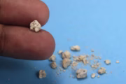 Infusiones para los riñones: qué se sabe sobre el diente de león. Imagen destacada sobre infusiones para los riñones. publicada en Noticias Web