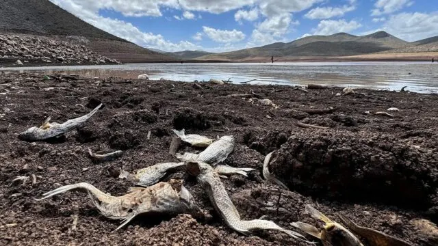Súper Niño 2026: alertan por alimentos y cambios climáticos en Argentina. Imagen destacada sobre Súper Niño 2026. publicada en Noticias Web