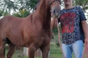 Asesinaron a un joven en Misiones y detuvieron a dos sospechosos brasileños. Fotografía editorial relacionada con Asesinaron joven Misiones detuvieron dos. publicada en Noticias We