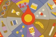 Seis mitos sobre longevidad que la evidencia científica no respalda. Imagen destacada sobre mitos sobre longevidad. publicada en Noticias Web